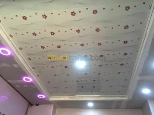 BA13  Pvc  peinture  Camera de surv