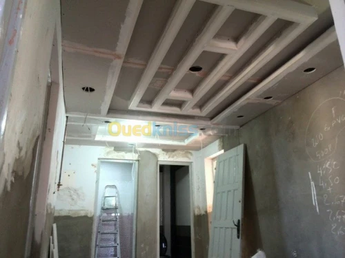 BA13  Pvc  peinture  Camera de surv