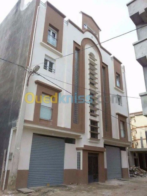 Tous travaux de finition de facades 