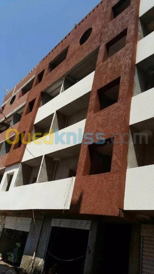 Tous travaux de finition de facades 