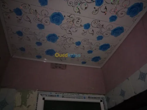 Faut plafond Pvc b13 et époxy 