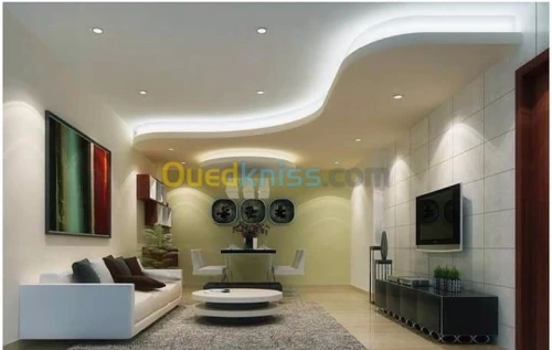 Placoplatre