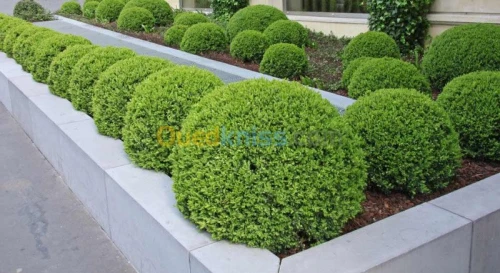 amenagement des espaces verts