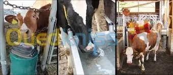 Abreuvoirs pour Bovins et chèvres 