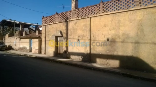Vente Villa Sidi Bel Abbès Hassi zehana