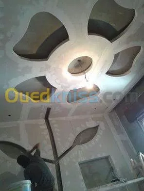 Placoplatre et peinture