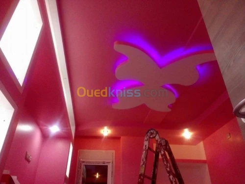 placoplatre decoration