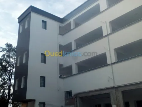 placoplatre decoration