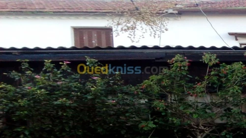 Restauration la haute classe et salle 