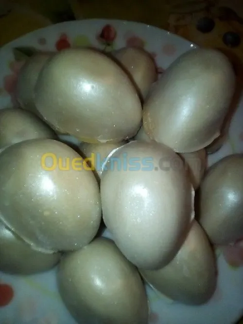 Gateaux selont votre choix