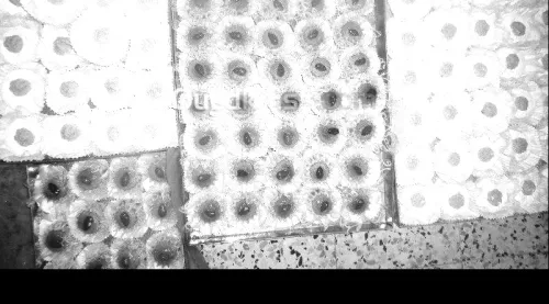 Gateaux selont votre choix