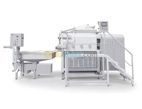 LIGNES DE PRODUCTIONS DE MOZARELLA 