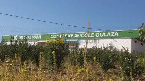 panneaux publicitaire