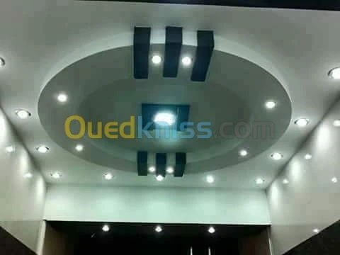 peinture faux plafond pansage 