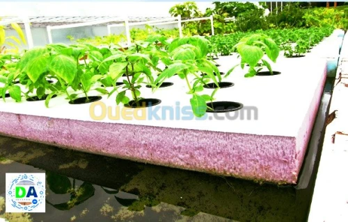 Aquaculture, Aquaponie, Agriculture 