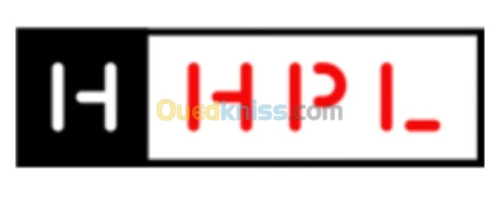 Conception professionnelle des logos 