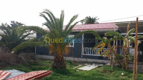construction de chalet