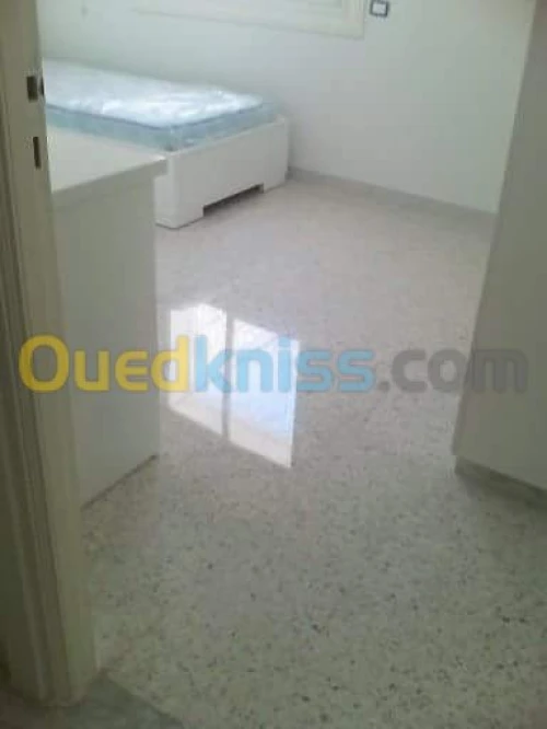 Ponçage et lustrage