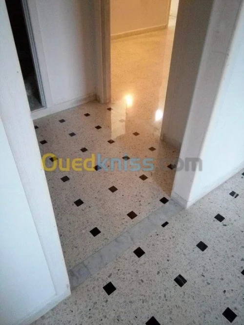 Ponçage et lustrage