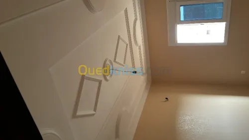 pose de placôplatre