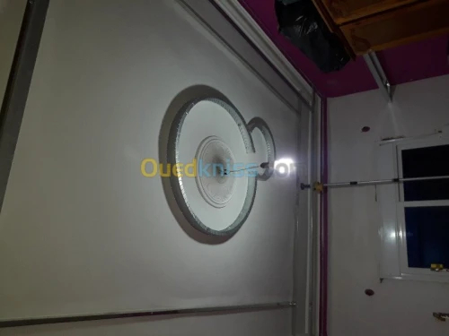 placoplatre faux plafond BA13 et PVC -