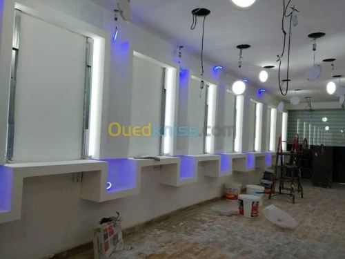 placoplatre faux plafond BA13 et PVC -