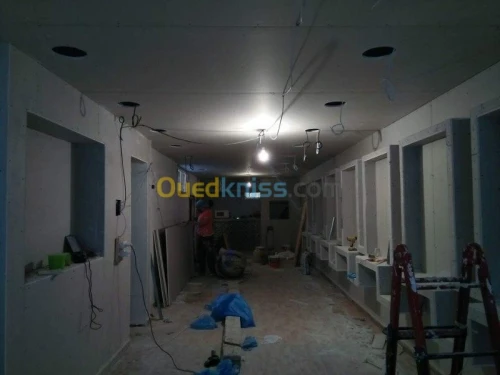 placoplatre faux plafond BA13 et PVC -