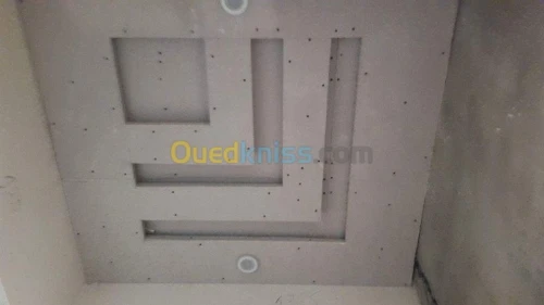 placoplatre faux plafond BA13 et PVC -