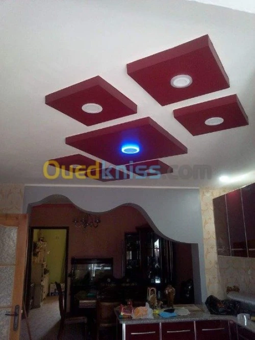placoplatre faux plafond BA13 et PVC -