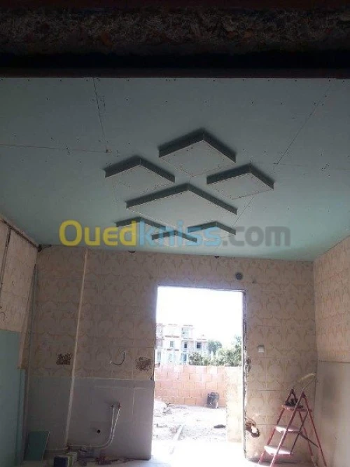 placoplatre faux plafond BA13 et PVC -