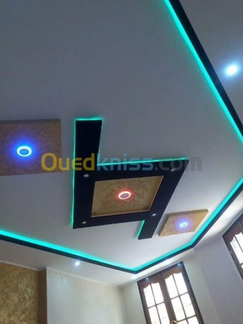 placoplatre faux plafond BA13 et PVC -