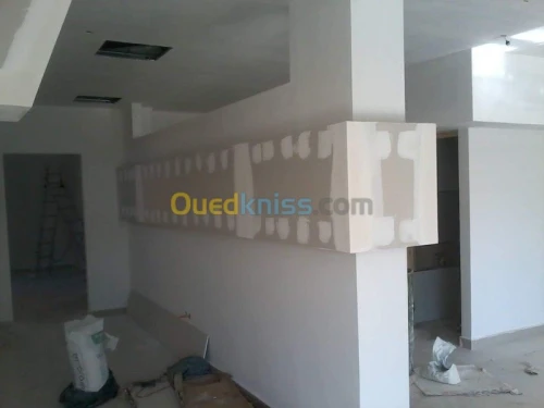 placoplatre faux plafond BA13 et PVC -