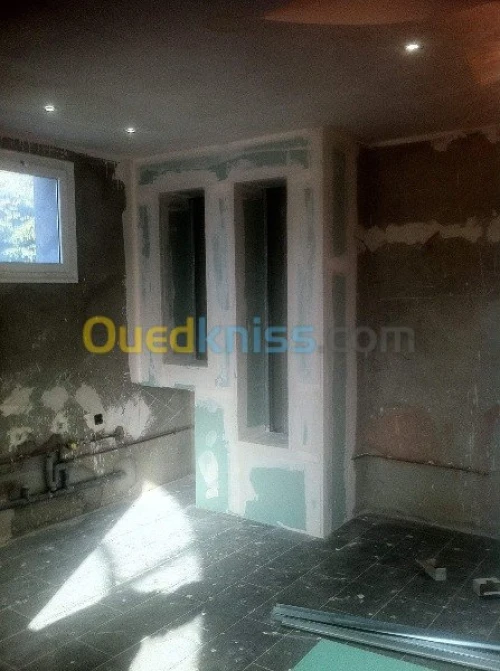 placoplatre faux plafond BA13 et PVC -