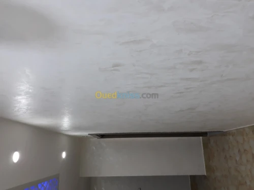 placoplatre faux plafond BA13 et PVC -