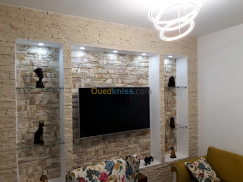 placoplatre faux plafond BA13 et PVC -