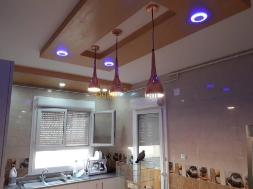 placoplatre faux plafond BA13 et PVC -