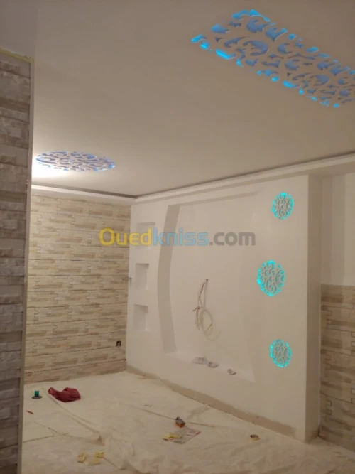 placoplatre faux plafond BA13 et PVC -