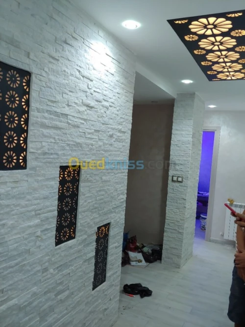 placoplatre faux plafond BA13 et PVC -