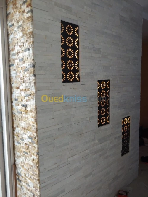 placoplatre faux plafond BA13 et PVC -