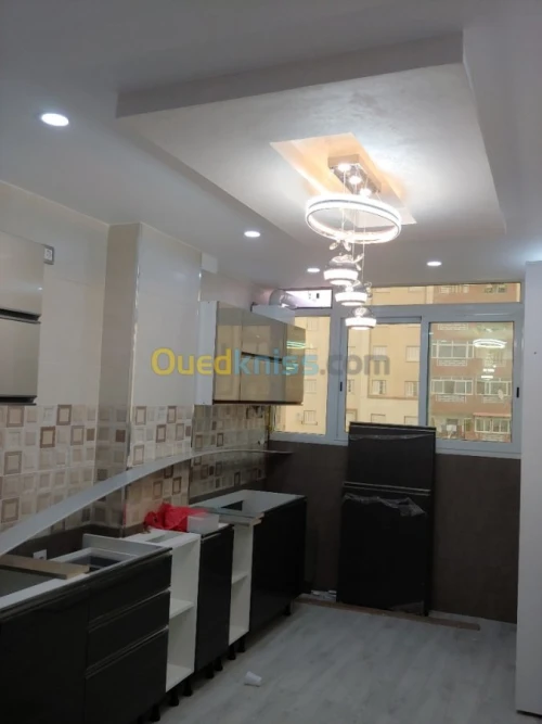 placoplatre faux plafond BA13 et PVC -