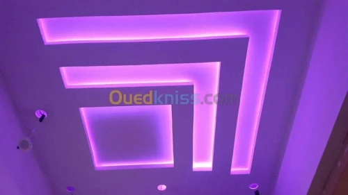placoplatre faux plafond BA13 et PVC -