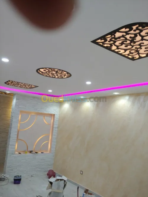 placoplatre faux plafond BA13 et PVC -