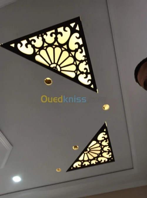 placoplatre faux plafond BA13 et PVC -