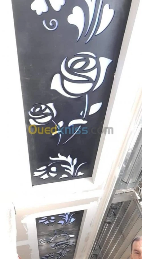placoplatre faux plafond BA13 et PVC -