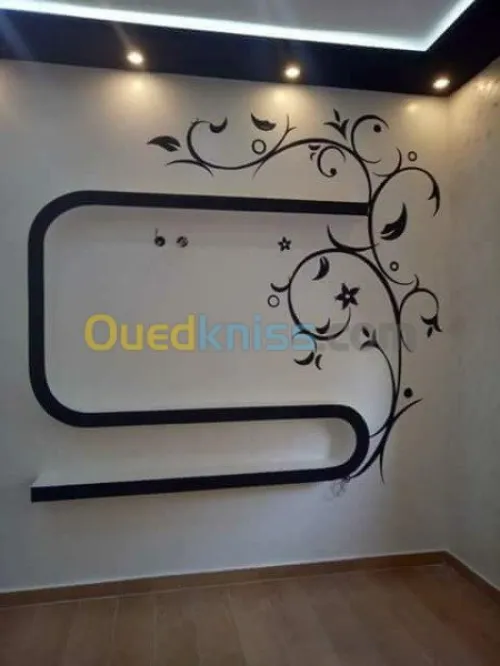 placoplatre faux plafond BA13 et PVC -
