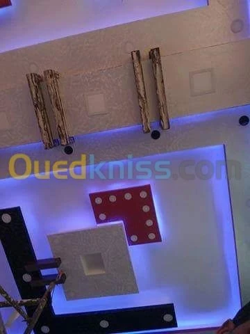 placoplatre faux plafond BA13 et PVC -