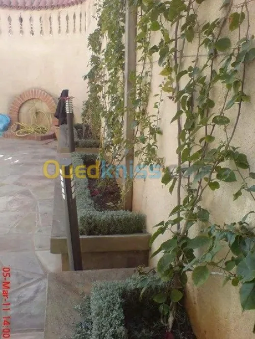 Nettoyage et entretien des jardins