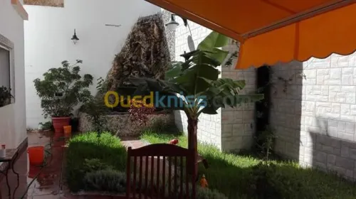 Nettoyage et entretien des jardins