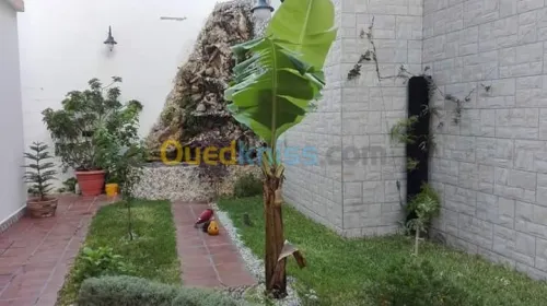 Nettoyage et entretien des jardins