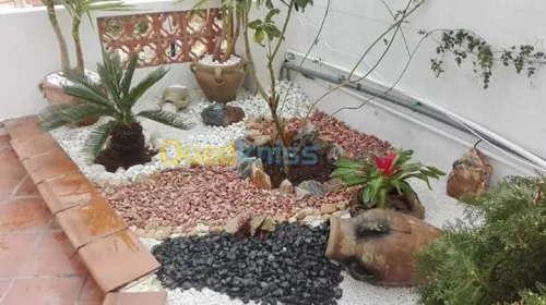 Nettoyage et entretien des jardins